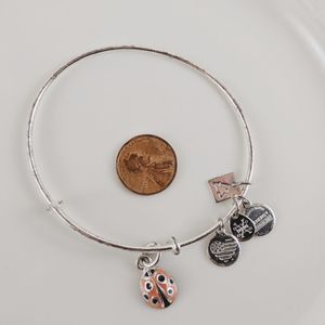 Alex an Ani Shiny Silver Ladybug Charity Bracelet